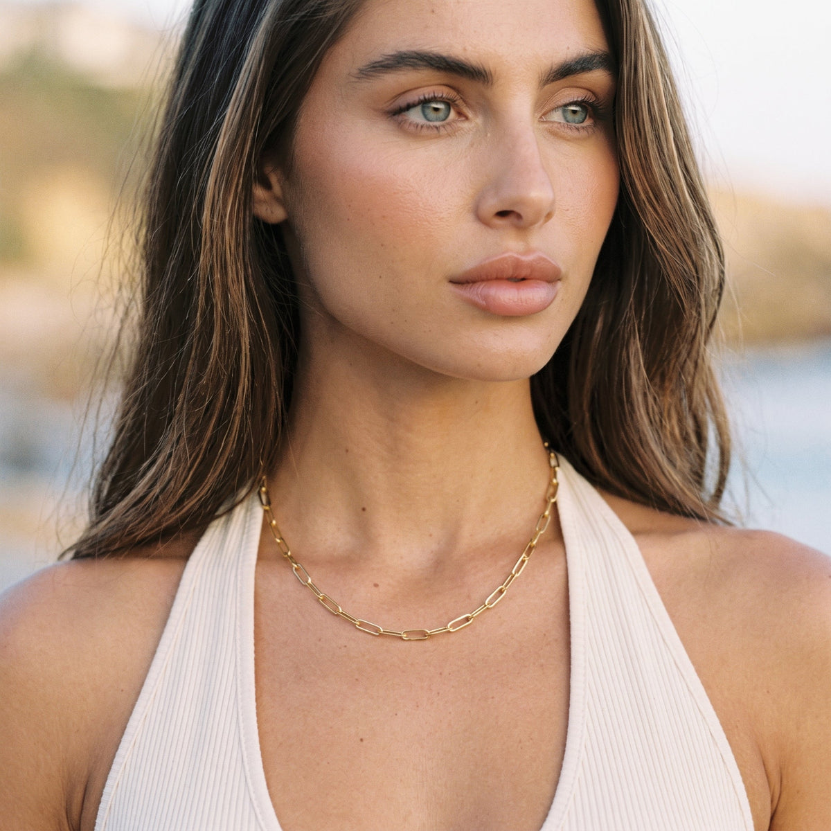 Paperclip Chain Bundle